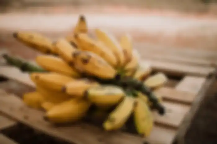 Pisang