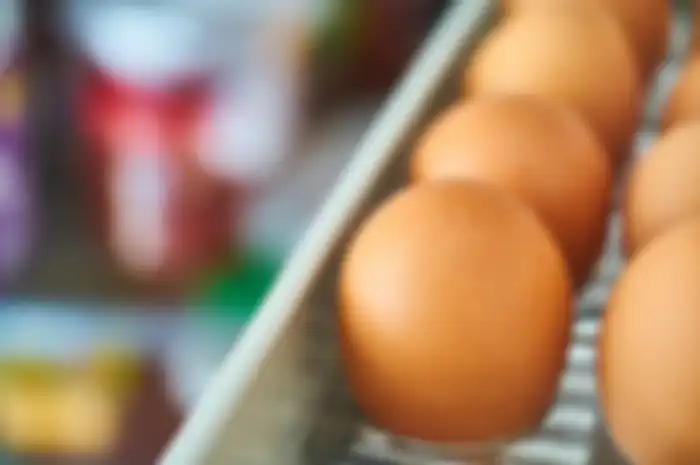 Harga telur ayam turun