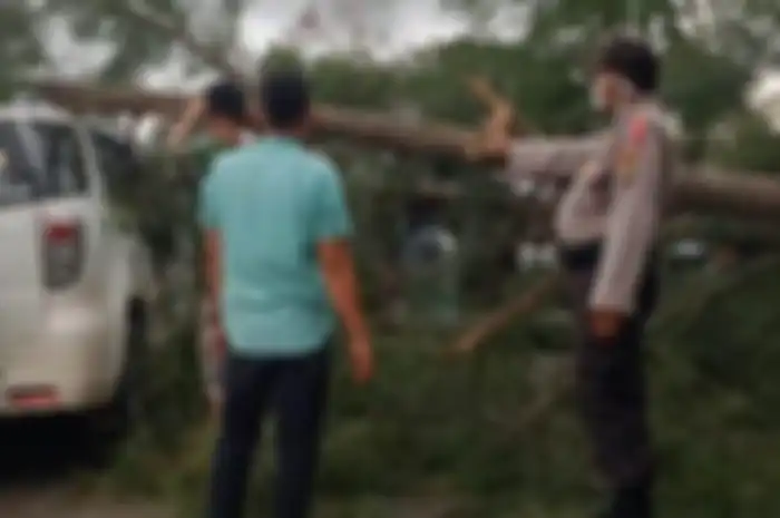 Daihatsu Terios tertimpa pohon tumbang di Jalur Lintas Barat Pringsewu, Pekon Bulukkarto, Gadingrejo, Lampung