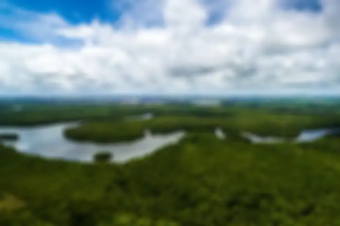 Hutan hujan tropis Amazon