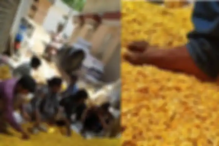 Menjijikkan Hingga Bikin Tak Nafsu Makan, Viral Proses Pengemasan Snack Kiloan yang Hanya Beralas Terpal Sampai Diinjak-injak Kaki Pekerjanya