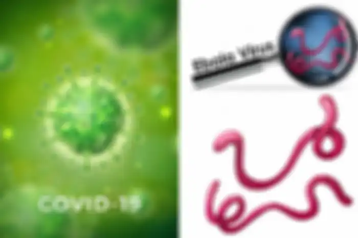 Virus ebola jauh lebih mematikan dibanding virus corona