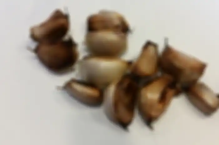 Bawang putih panggang