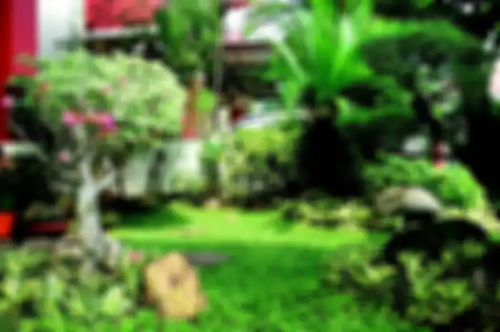 Ilustrasi Wild Garden, di Indonesia diwujudkan pada taman tropis.