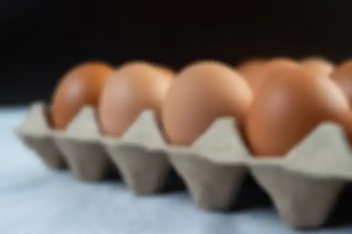 Begini cara simpan telur agar proteinnya tidak rusak
