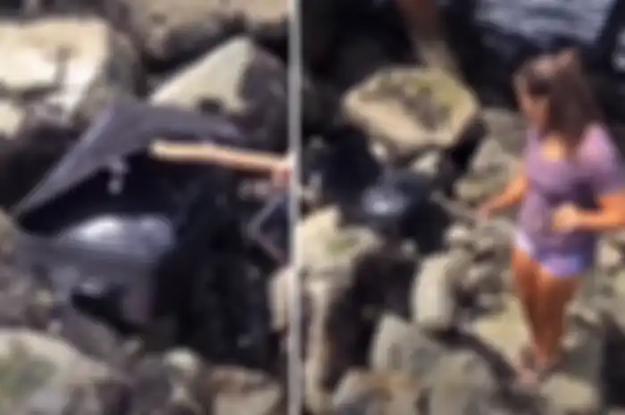Koper berisikan mayat yang ditemukan sekelompok remaja di Pantai Alki, Seattle, Amerika Serikat.