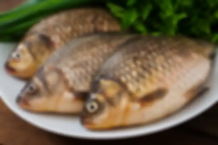 Tanpa Disadari Ikan ini Sering Dijadikan Lauk Padahal Memiliki Kandungan Merkuri Tinggi yang Berbahaya Bagi Kesehatan, Dampaknya Bisa Picu Kanker Otak!