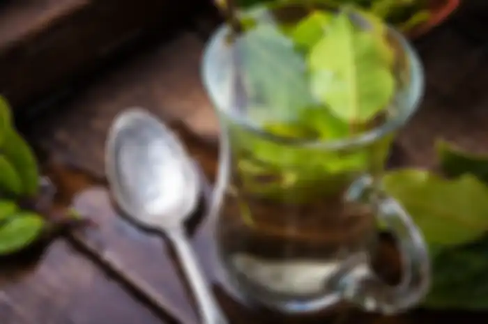 Manfaat daun salam untuk asam urat dan turunkan kolesterol.