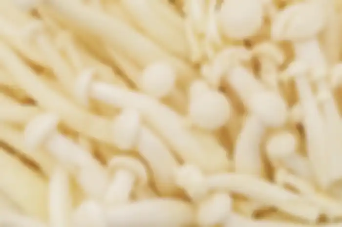 Bahaya Bakteri Listeria yang Diduga Hidup pada Jamur Enoki, Ternyata Bisa Ditemukan di Berbagai Tempat dan Jadi Penyebab Penyakit ini, Segera Kenali Gejalanya!