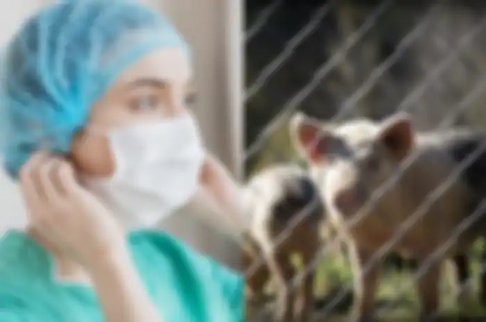 Covid-19 Belum Juga Usai, Peneliti Kembali Temukan Virus Baru Mirip Flu Babi dan Berpotensi Jadi Pandemi, Warga Dunia Diminta Waspada