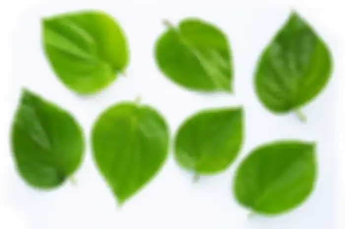 Daun sirih. 