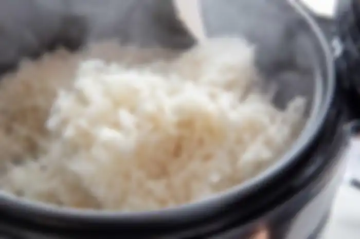 Rice cooker