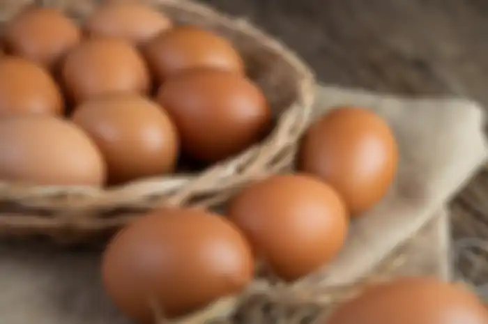 Gambar ilustrasi. Harga telur ayam
