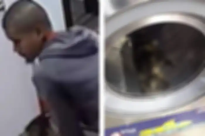 Pelaku pembunuhan kucing dengan cara dimasukkan ke dalam mesin cuci.