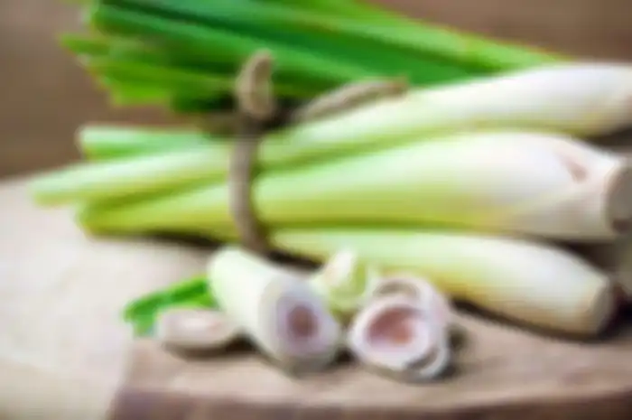 Daun serai