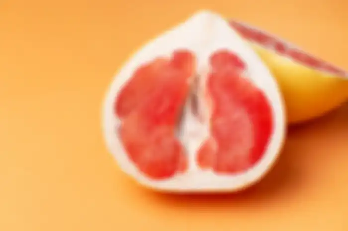 Ilustrasi Vagina.