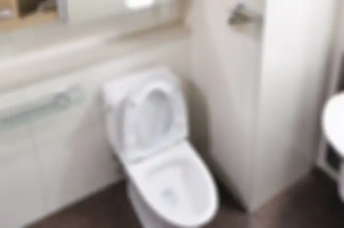Ilustrasi toilet 