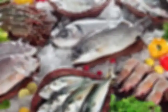 Ilustrasi kumpulan ikan segar