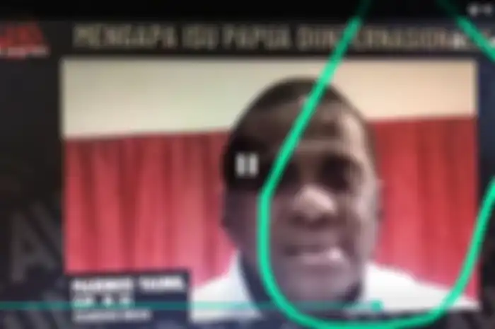 Tangkapan layar saat Marinus Yaung menjadi salah satu pemateri dalam webinar Mengapa Isu Papua Diinternasionalisasi pada Senin (13/7/5/2020)(Istimewa) 