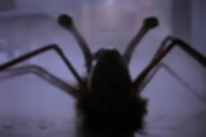 Film The Thing (1982)