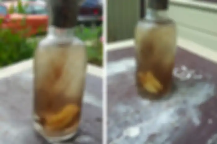 Botol penyihir yang ditemukan oleh Shane Mears.