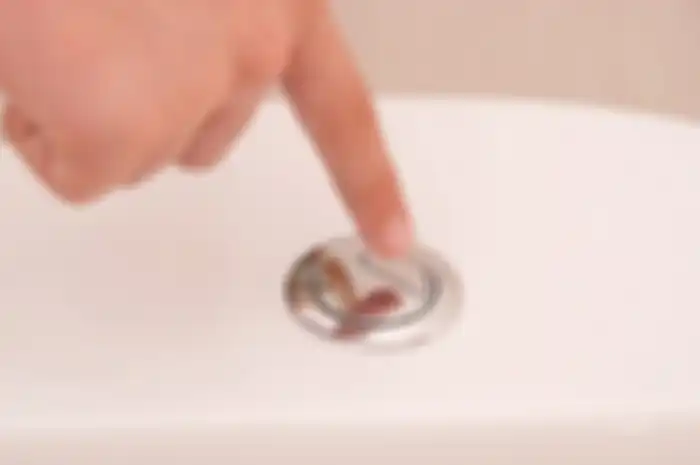Toilet dengan 2 tombol flush