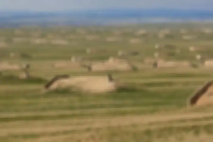 Bunker