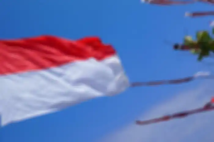 Posting Video Bakar Bendera Merah Putih, Cewek di Lampung Diamankan Polisi, Motivasinya Gila