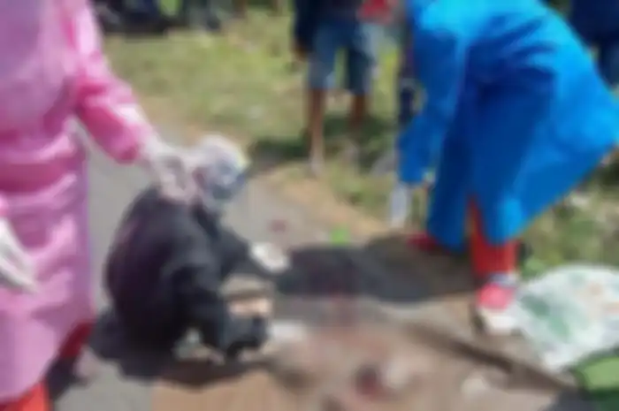 Wujud bayi nahas di Lamongan, Jawa Timur yang dibuang di pinggir jalan dan diduga terlindas kendaraan yang lewat Senin (3/8/2020)