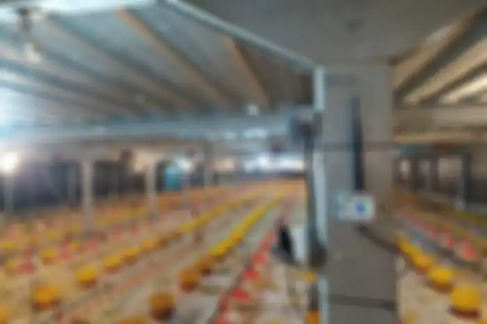 XL Smart Poultry berbasis Internet of Things (IoT) di peternakan ayam Sierad Produce
