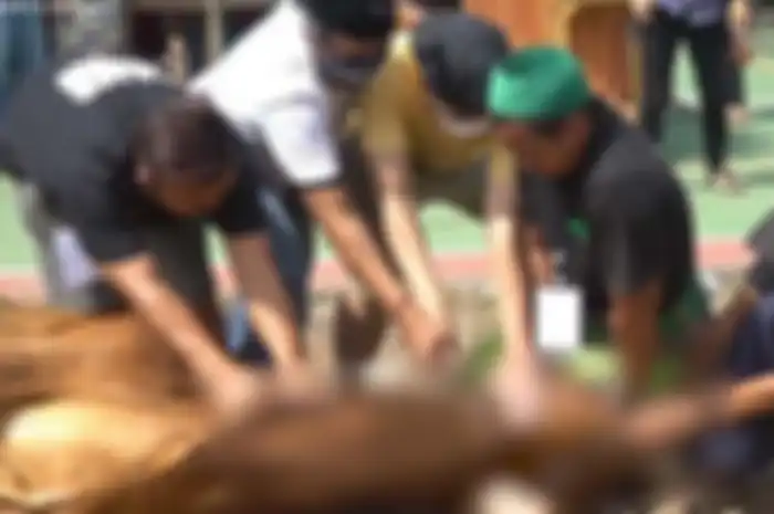 Prosesi penyembelihan hewan sapi saat Idul Adha 2020 di Indonesia