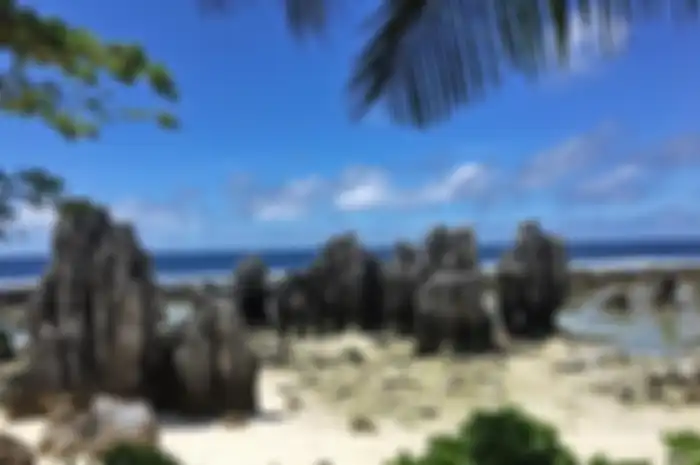 Nauru, negara pulau yang berada di Mikronesia, Pasifik Selatan. Inilah negara kecil ketiga di dunia. 