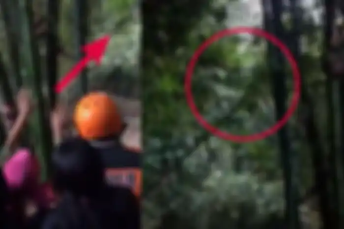 Ibu di Magelang menjadi viral saat putranya hilang, ngaku melihat sosok anaknya hingga terus memanggil namanya ke arah pohon bambu