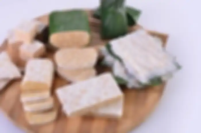 Aneka bentuk dan jenis tempe