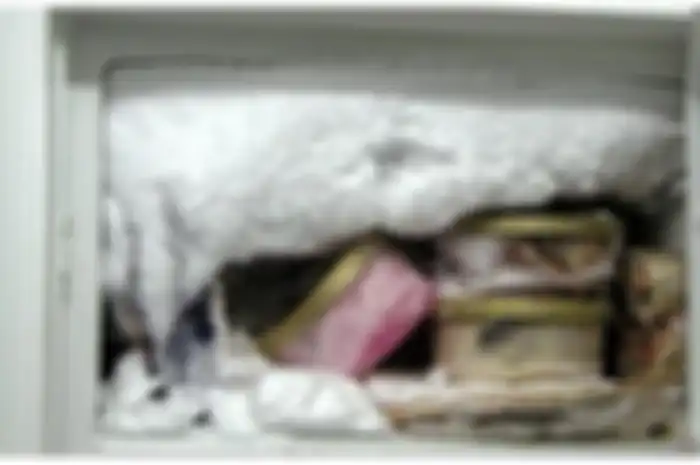Jangan Anggap Enteng, Bunga Es di Freezer Kulkas Ternyata Bisa Sebabkan Bahaya yang Serius!