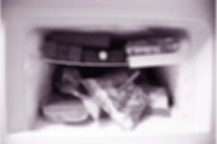 bunga es di freezer