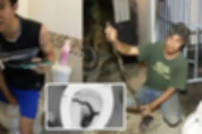 Remaja di Thailand Dipatok Ular saat Sedang Gunakan Toilet