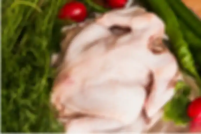 Ilustrasi ayam potong