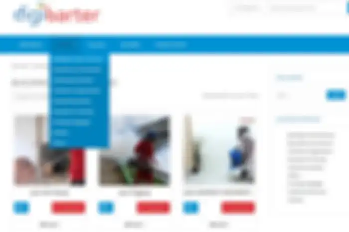 Tampilan situs barter DigiBarter