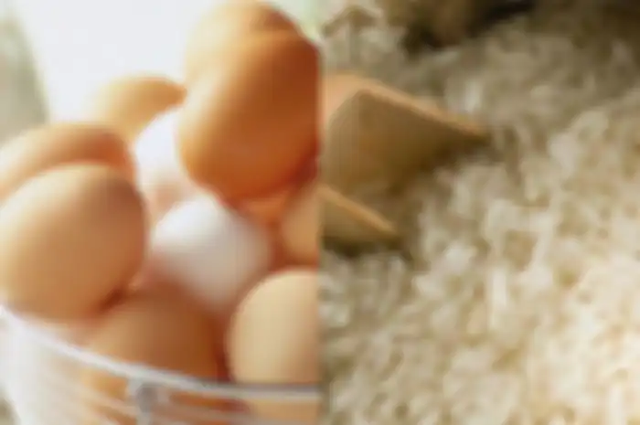 Cuma Letakan Telur Ayam di Atas Beras, Ibu Ini Terkejut Usai Temukan Hal Menakjubkan Ini