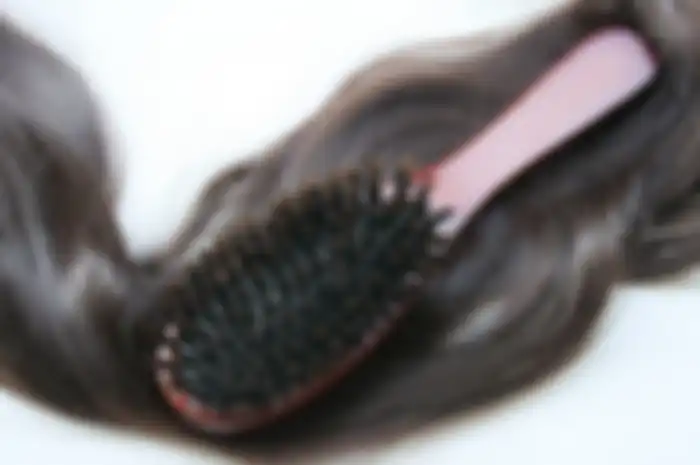 Ilustrasi sisir