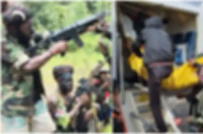 KKB Papua gencar melakukan aksi keji dalam sepekan terakhir