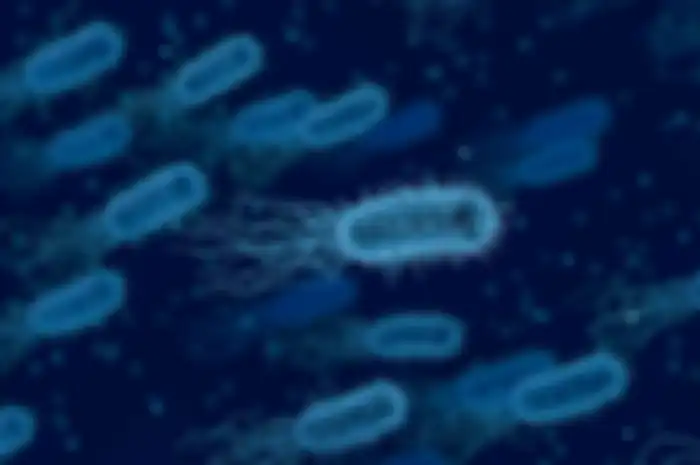 Brucellosis