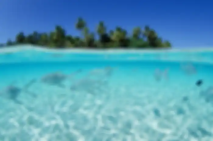Pemandangan bawah laut di Kepulauan Selayar
