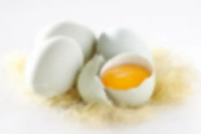 Manfaat telur bebek
