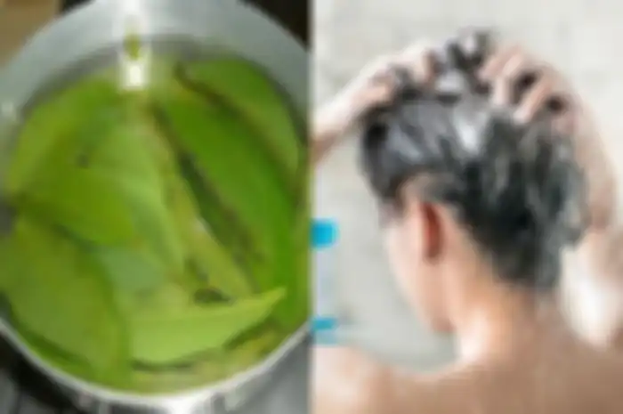 Keramas dengan air rebusan daun jambu