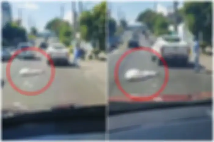 Viral video mayat tergeletak di jalanan, rupanya terjatuh dari mobil pikap yang mengangkut tumpukan jenazah.