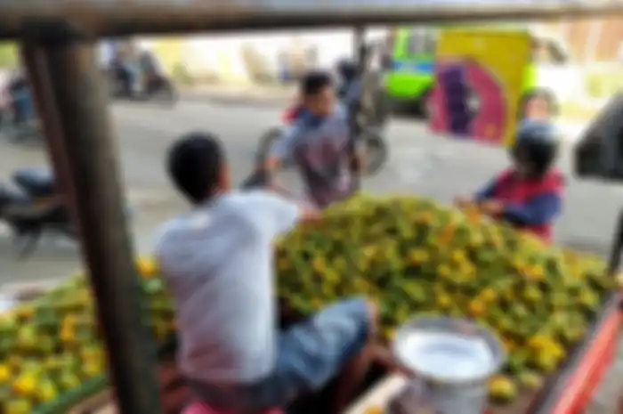 Supaya tidak tertipu muslihat pedagang nakal, begini cara memilih jeruk manis dan berair. 