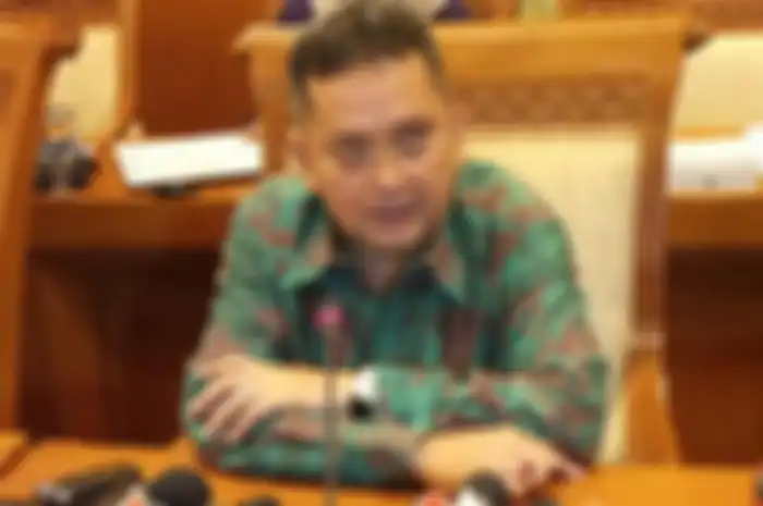 Wakil Ketua MKD, Trimedya Panjaitan