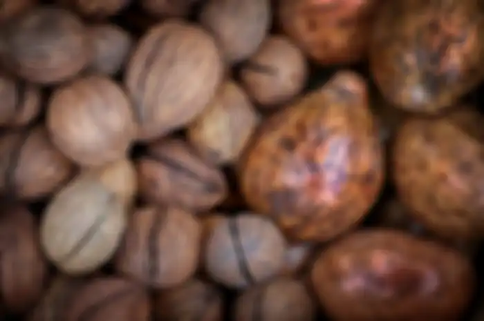 Buah pala.